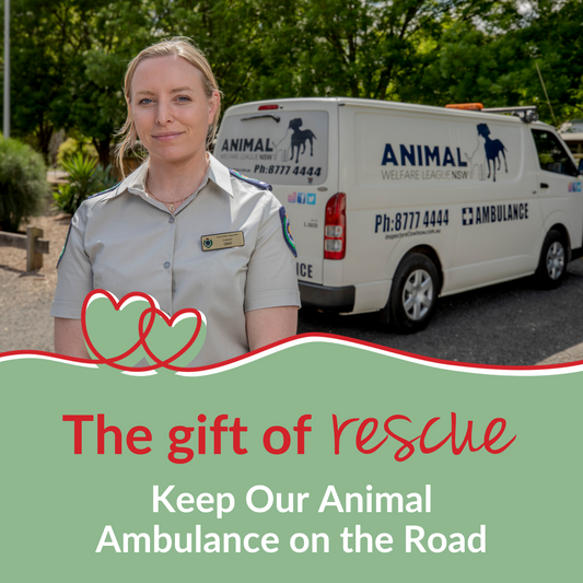 Keep Our Animal Ambulance on the Road