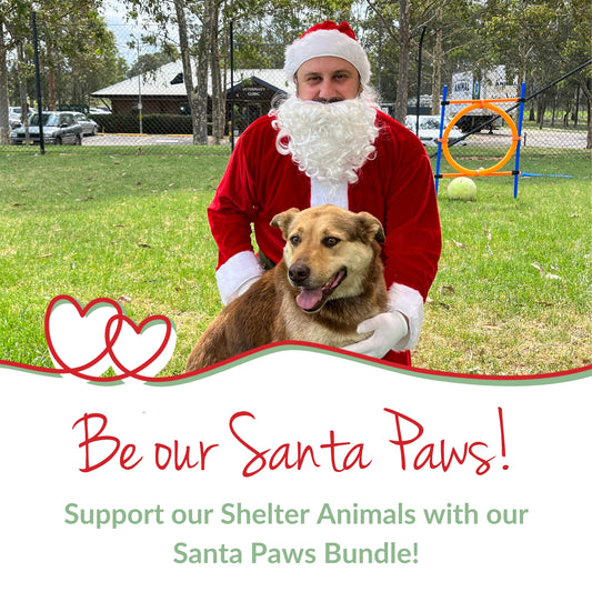 Santa Paws Bundle