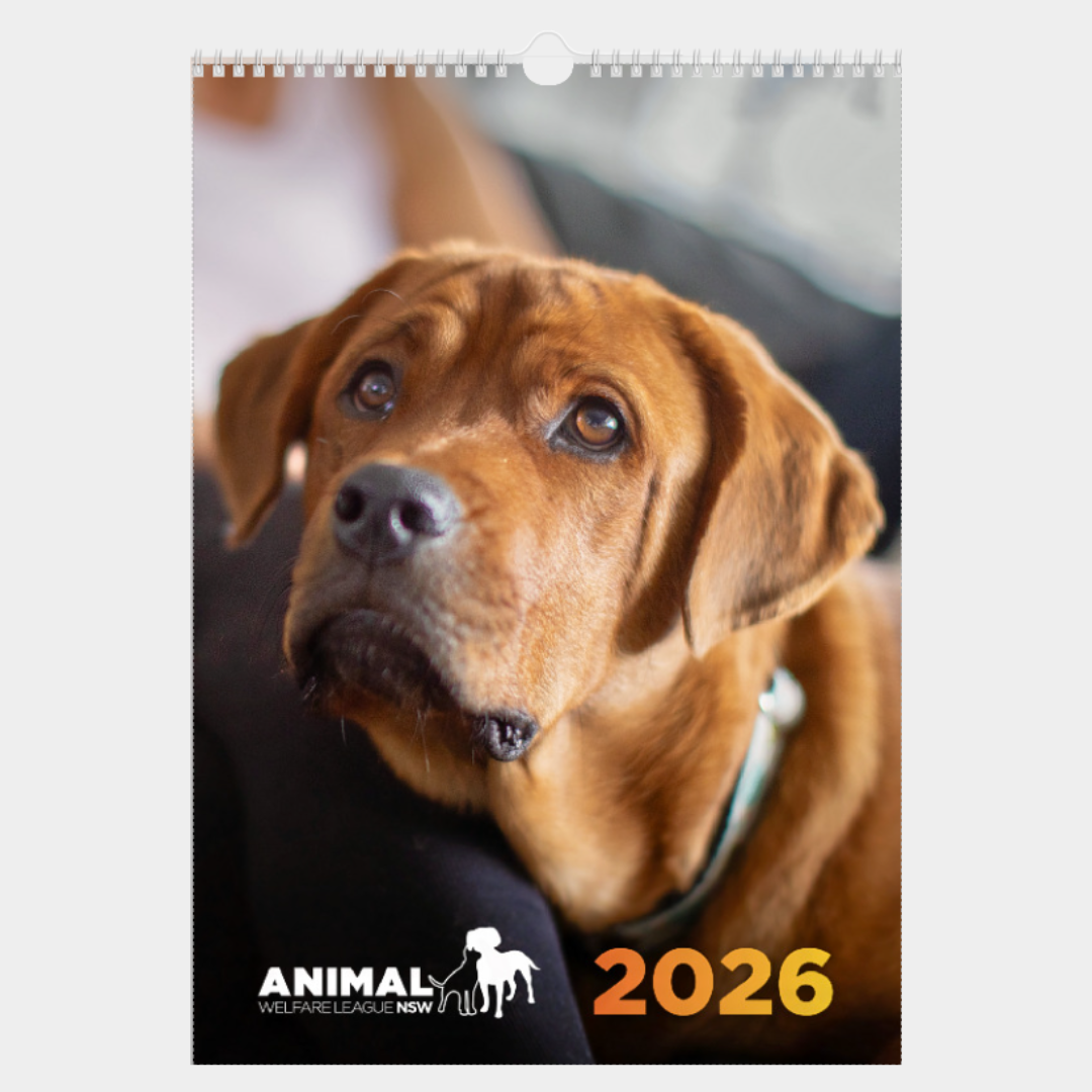 2026 Calendar