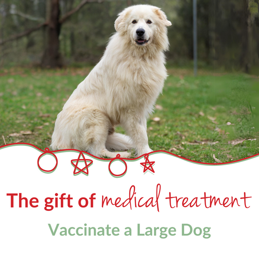 Save a Life - Vaccinate an Animal