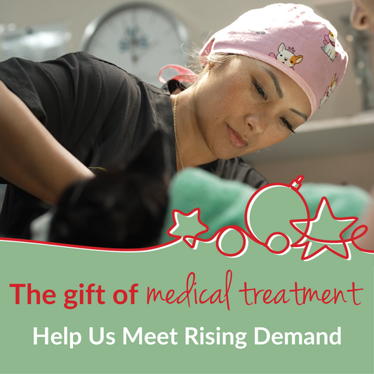 Help Us Meet Rising Demand