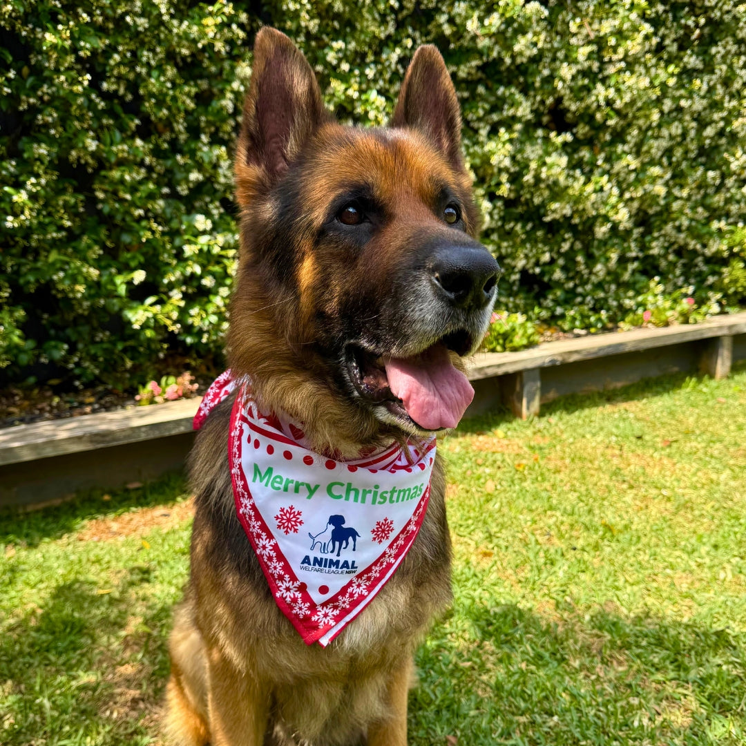 Christmas 'Ugly Sweater' White Bandana
