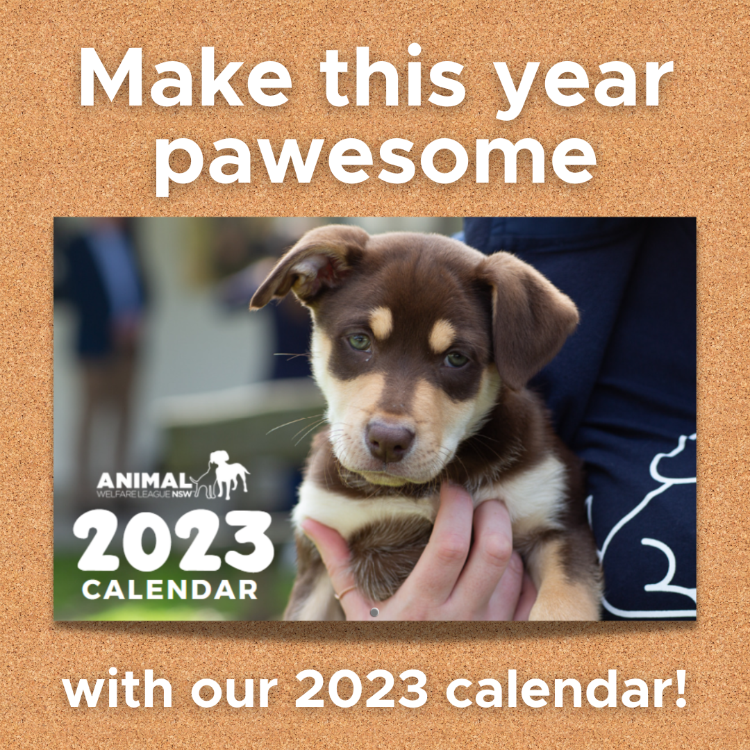AWL NSW 2023 Calendar